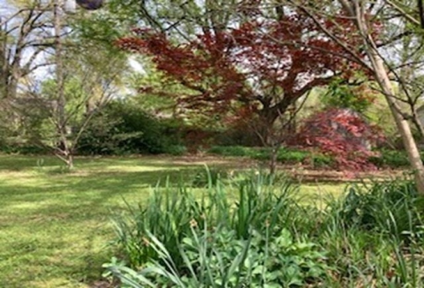 564 ALEXANDER ST, Memphis, Tennessee 38111, 2 Bedrooms Bedrooms, 6 Rooms Rooms,1 BathroomBathrooms,Residential,For Sale,ALEXANDER,10219510