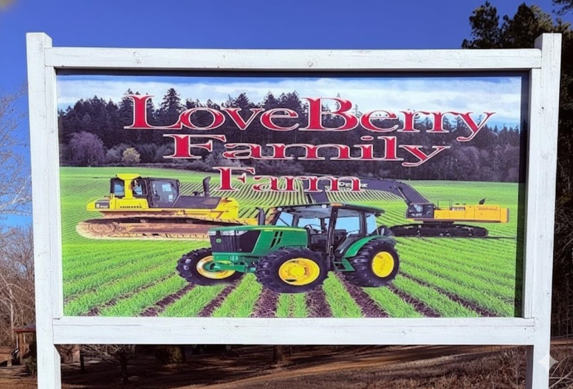 2023 GRAVEL SPRINGS DR, Senatobia, Mississippi 38668-9998, ,Land,For Sale,GRAVEL SPRINGS,10219537