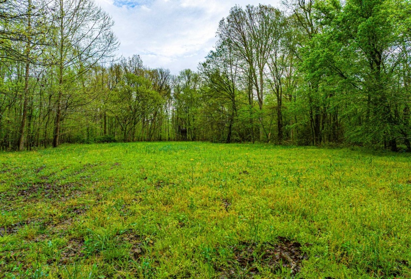 280 FIELDS RD, Dukedom, Tennessee 38226, 2 Bedroom Bedrooms, 5 Room Rooms,2 BathroomBathrooms,Residential,For Sale,FIELDS,0,10219528