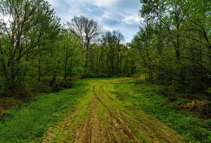 280 FIELDS RD, Dukedom, Tennessee 38226, 2 Bedroom Bedrooms, 5 Room Rooms,2 BathroomBathrooms,Residential,For Sale,FIELDS,0,10219528