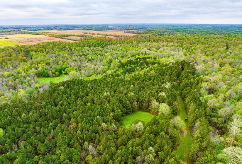 280 FIELDS RD, Dukedom, Tennessee 38226, 2 Bedroom Bedrooms, 5 Room Rooms,2 BathroomBathrooms,Residential,For Sale,FIELDS,0,10219528