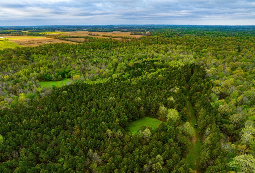 280 FIELDS RD, Dukedom, Tennessee 38226, 2 Bedroom Bedrooms, 5 Room Rooms,2 BathroomBathrooms,Residential,For Sale,FIELDS,0,10219528