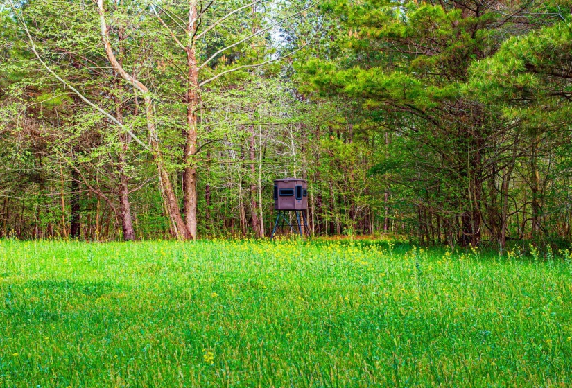 280 FIELDS RD, Dukedom, Tennessee 38226, 2 Bedroom Bedrooms, 5 Room Rooms,2 BathroomBathrooms,Residential,For Sale,FIELDS,0,10219528