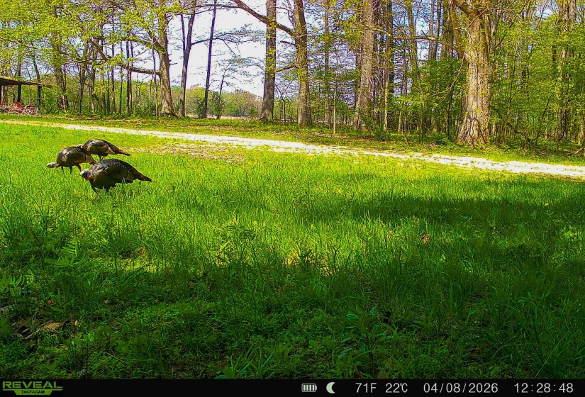 280 FIELDS RD, Dukedom, Tennessee 38226, 2 Bedroom Bedrooms, 5 Room Rooms,2 BathroomBathrooms,Residential,For Sale,FIELDS,0,10219528