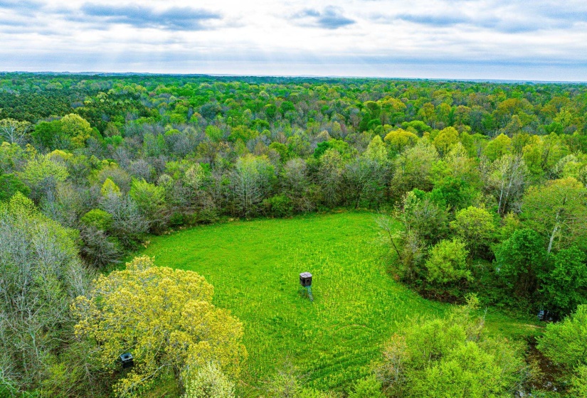 280 FIELDS RD, Dukedom, Tennessee 38226, 2 Bedroom Bedrooms, 5 Room Rooms,2 BathroomBathrooms,Residential,For Sale,FIELDS,0,10219528