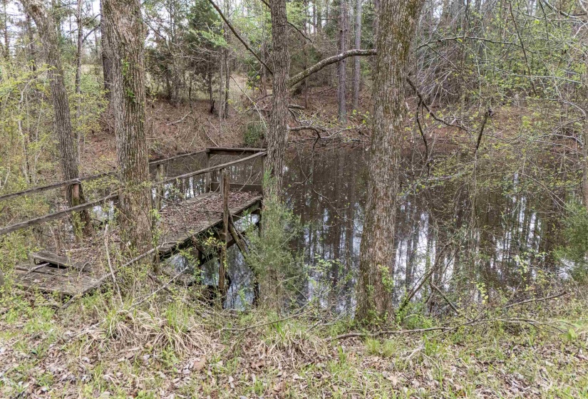 View of undeveloped land