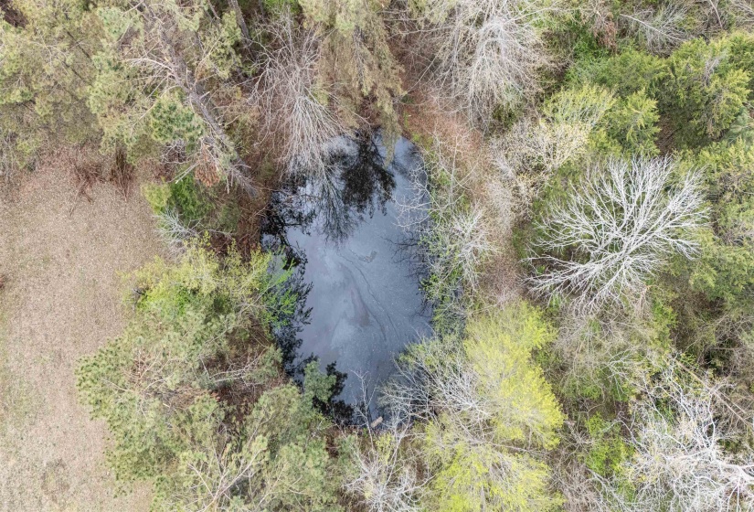 Drone / aerial view of a large body of water
