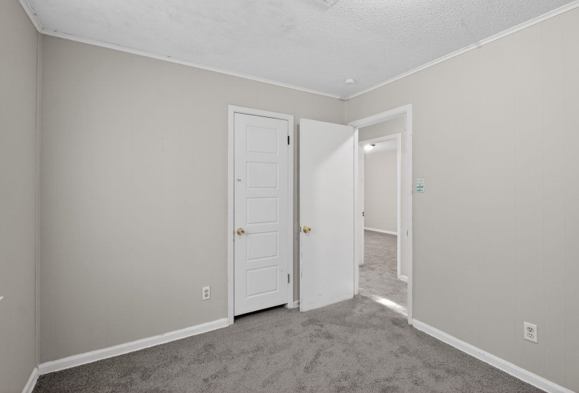 Spare room featuring carpet flooring, crown molding, and a textured ceiling