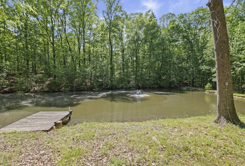 Water view with a dock