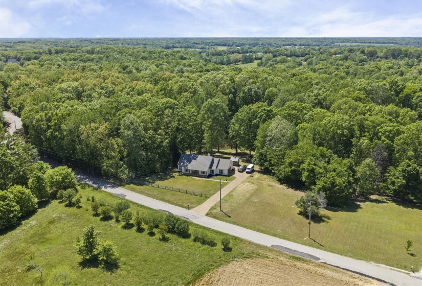 Aerial view of a forest