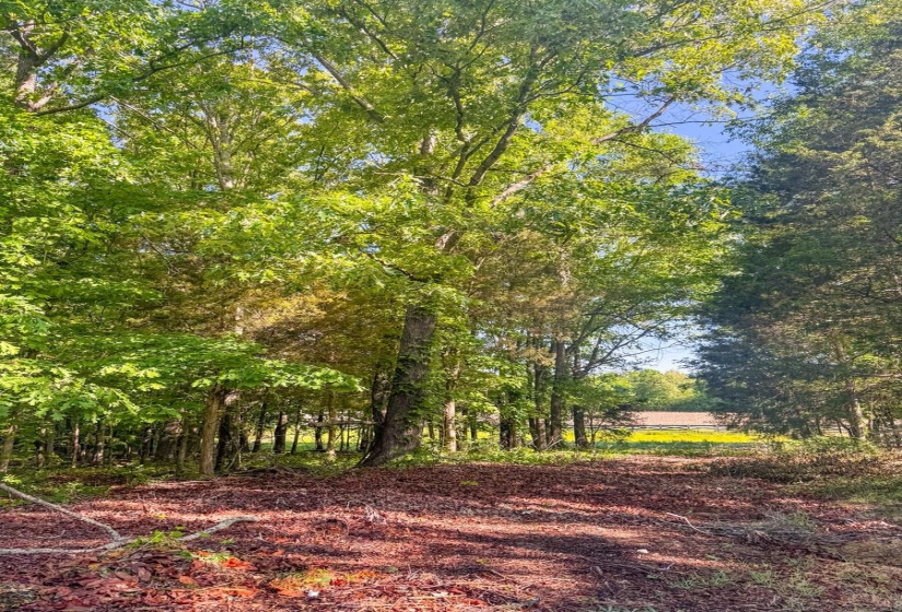 95 CANONBURY CV, Eads, Tennessee 38028, ,Land,For Sale,CANONBURY,10219634