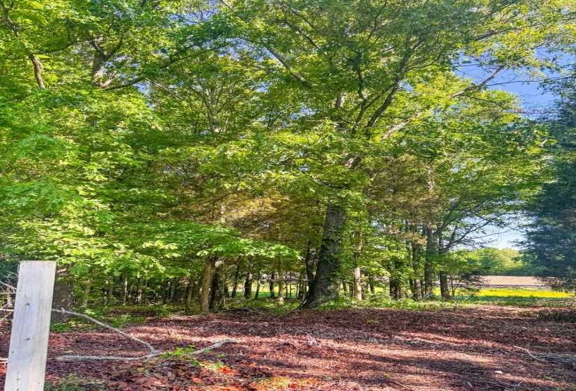 95 CANONBURY CV, Eads, Tennessee 38028, ,Land,For Sale,CANONBURY,10219634