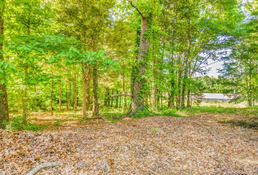 95 CANONBURY CV, Eads, Tennessee 38028, ,Land,For Sale,CANONBURY,10219634