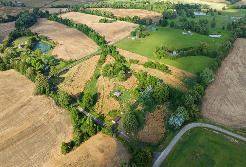 1632 WILLIAMS RD, Alamo, Tennessee 38001, ,Land,For Sale,WILLIAMS,10219639