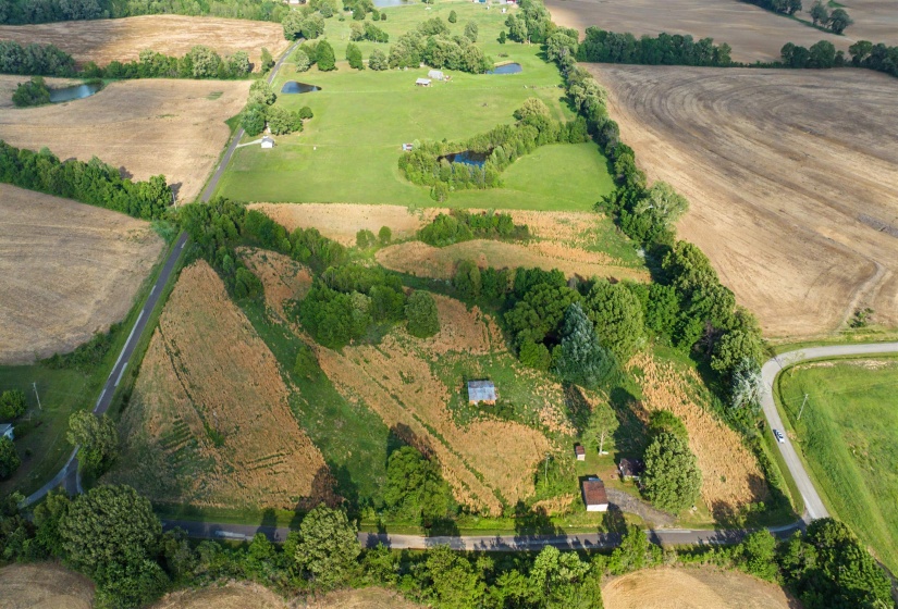 1632 WILLIAMS RD, Alamo, Tennessee 38001, ,Land,For Sale,WILLIAMS,10219639