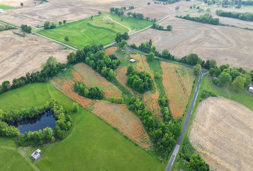 1632 WILLIAMS RD, Alamo, Tennessee 38001, ,Land,For Sale,WILLIAMS,10219639