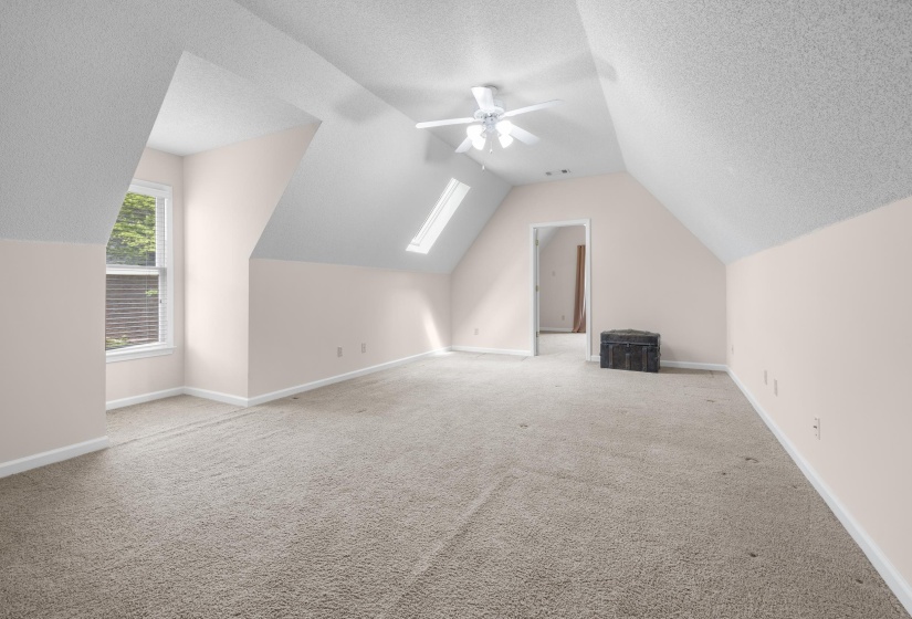 Bonus room with a skylight, a ceiling fan, and carpet