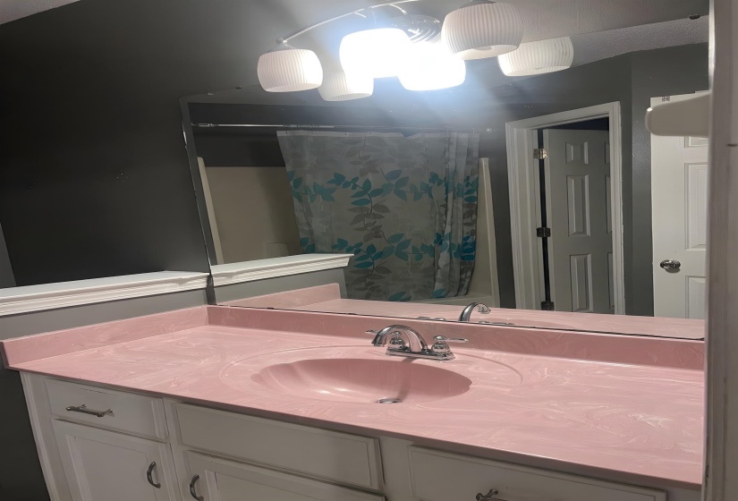 Bathroom featuring vanity and a shower with shower curtain