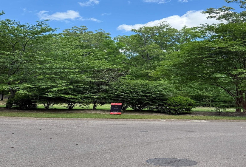 6536 RIVER GREEN COVE CV, Memphis, Tennessee 38120, ,Land,For Sale,RIVER GREEN COVE,10219658