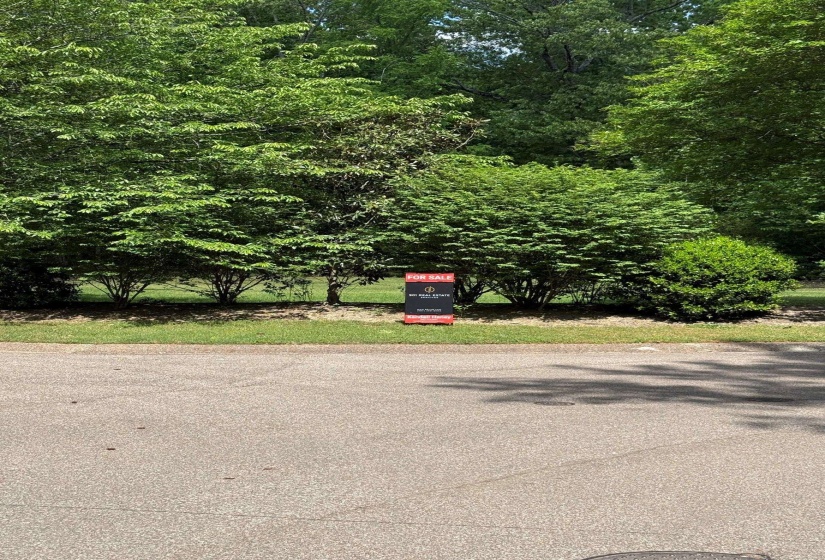 6536 RIVER GREEN COVE CV, Memphis, Tennessee 38120, ,Land,For Sale,RIVER GREEN COVE,10219658