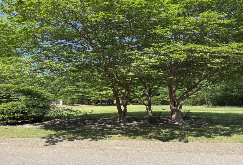 6536 RIVER GREEN COVE CV, Memphis, Tennessee 38120, ,Land,For Sale,RIVER GREEN COVE,10219658