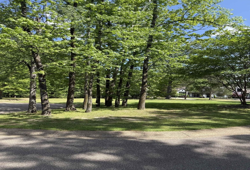 6536 RIVER GREEN COVE CV, Memphis, Tennessee 38120, ,Land,For Sale,RIVER GREEN COVE,10219658