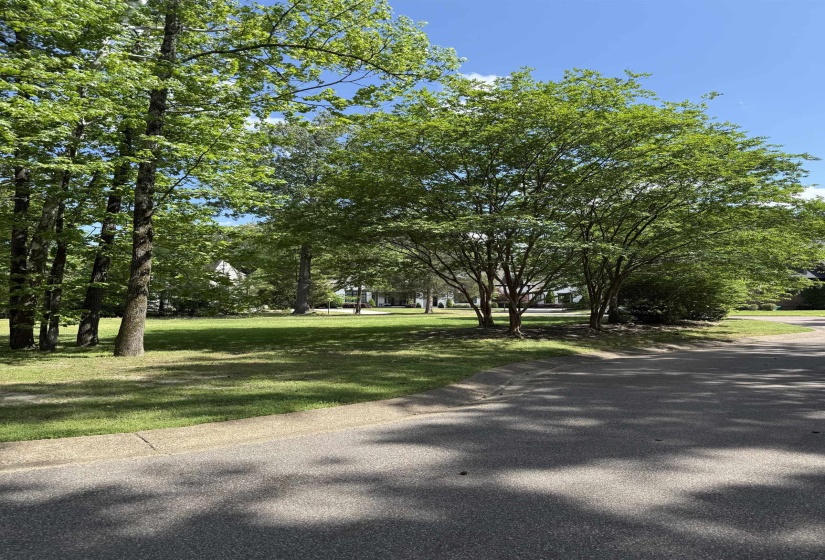 6536 RIVER GREEN COVE CV, Memphis, Tennessee 38120, ,Land,For Sale,RIVER GREEN COVE,10219658