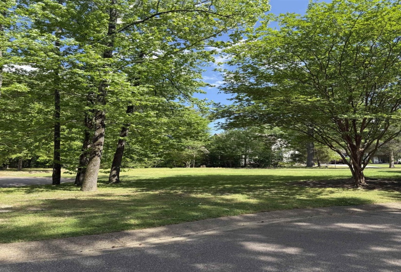 6536 RIVER GREEN COVE CV, Memphis, Tennessee 38120, ,Land,For Sale,RIVER GREEN COVE,10219658