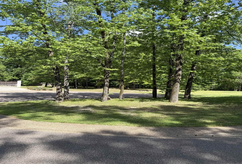 6536 RIVER GREEN COVE CV, Memphis, Tennessee 38120, ,Land,For Sale,RIVER GREEN COVE,10219658