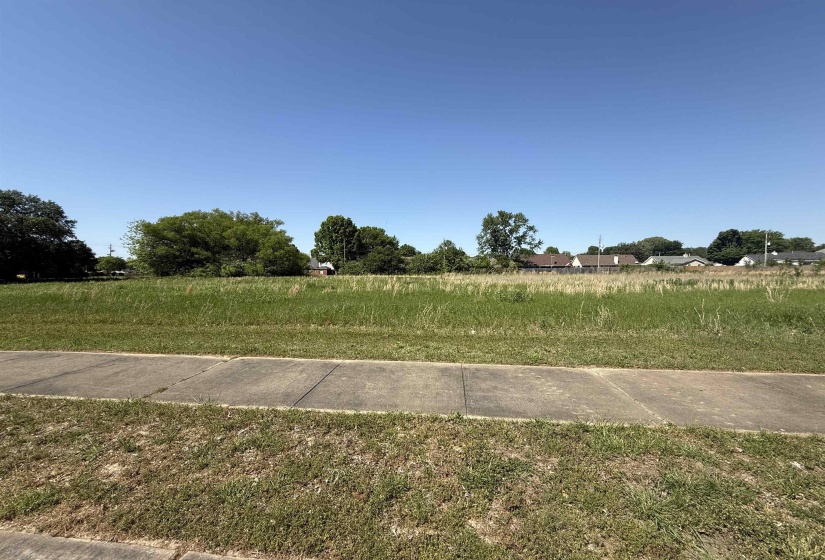 REESE RD, Memphis, Tennessee 38133, ,Land,For Sale,REESE,10219721