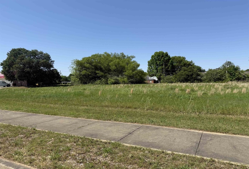 REESE RD, Memphis, Tennessee 38133, ,Land,For Sale,REESE,10219721