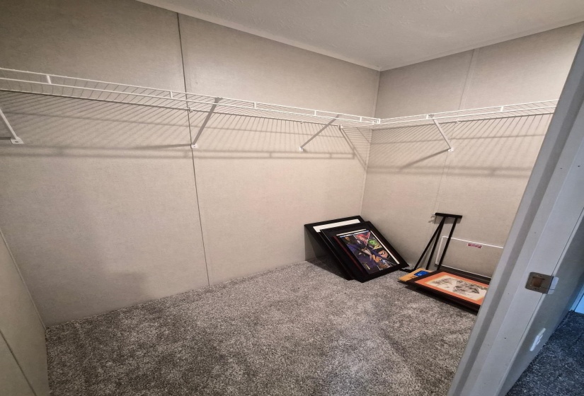 Walk in closet with carpet floors