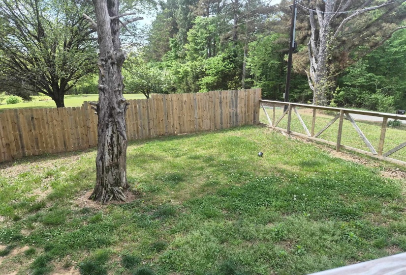 View of fenced backyard