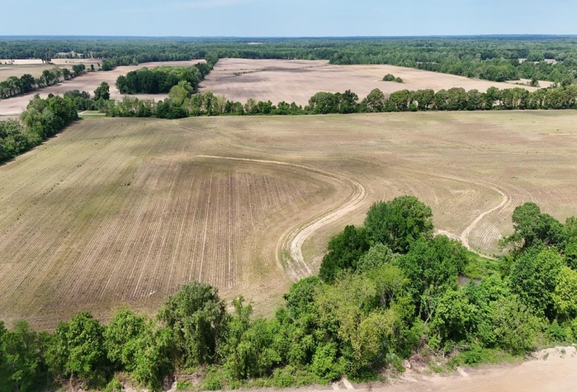 10 PEPPER PL, Brownsville, Tennessee 38012, ,Land,For Sale,PEPPER,10219761