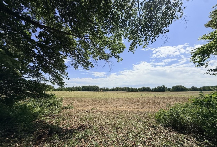 10 PEPPER PL, Brownsville, Tennessee 38012, ,Land,For Sale,PEPPER,10219761