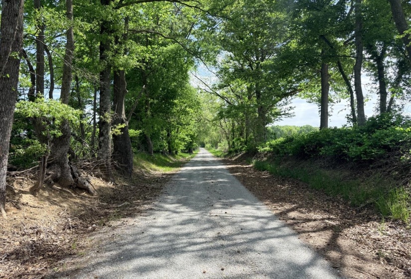 10 PEPPER PL, Brownsville, Tennessee 38012, ,Land,For Sale,PEPPER,10219761
