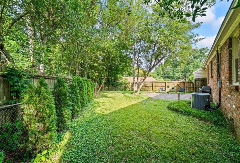 View of fenced backyard