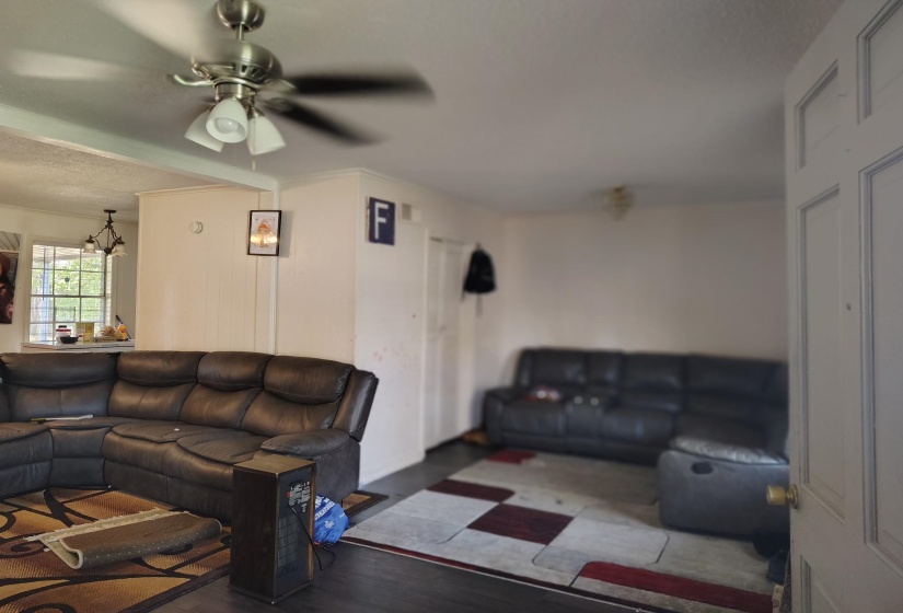 Living area featuring wood finished floors and a ceiling fan