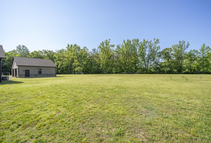 View of grassy yard
