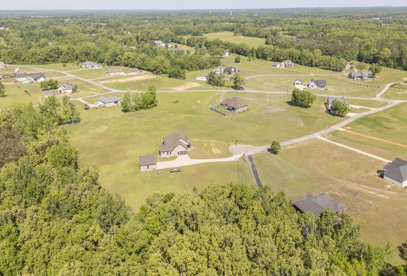 Aerial view of a forest