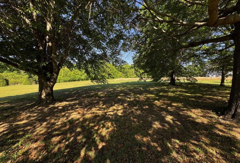 439 MCLILLIE LN, Covington, Tennessee 38019, 5 Bedrooms Bedrooms, 10 Rooms Rooms,4.1 BathroomsBathrooms,Residential,For Sale,MCLILLIE,10219759