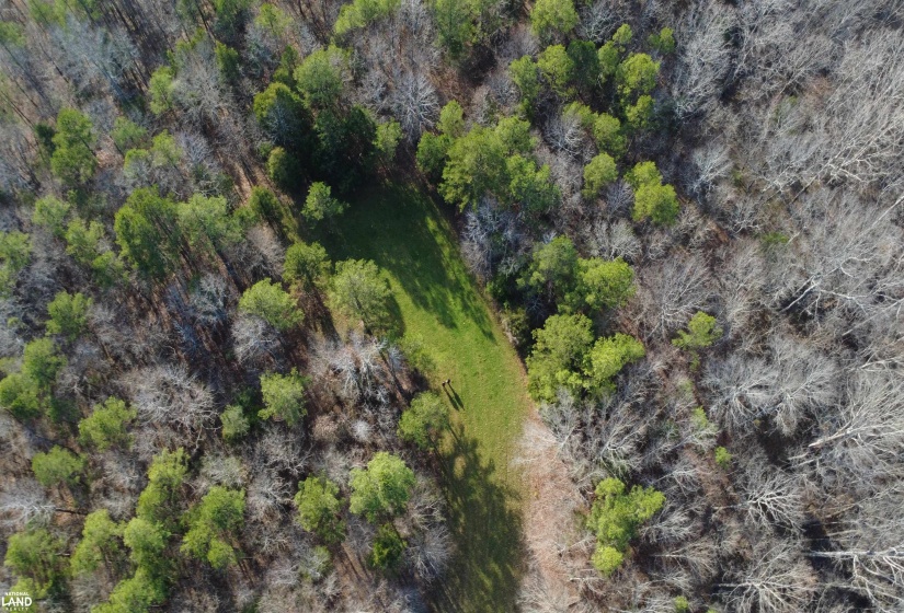 61 CO RD 650 RD, Walnut, Mississippi 38683, ,Land,For Sale,CO RD 650,10219778