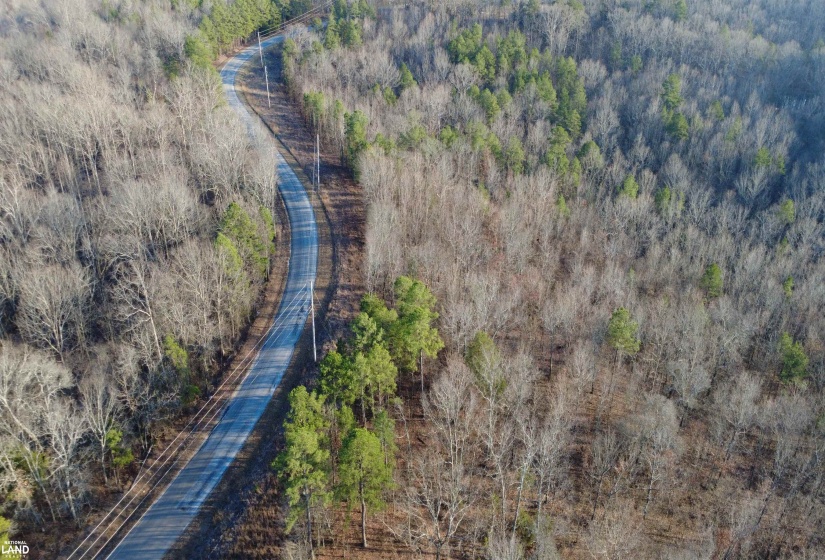 61 CO RD 650 RD, Walnut, Mississippi 38683, ,Land,For Sale,CO RD 650,10219778