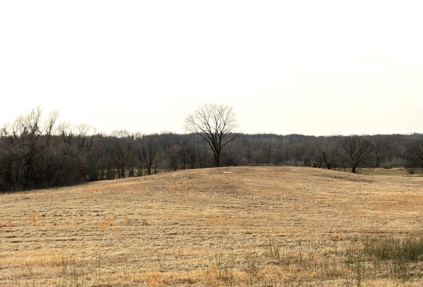7582-7914 AUSTIN RD, Lake Cormorant, Mississippi 38641, ,Land,For Sale,AUSTIN,10219781