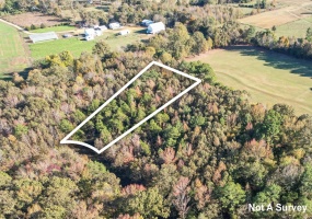 TRACT 8 KASON DR, Stantonville, Tennessee 38315, ,Land,For Sale,KASON,10219803