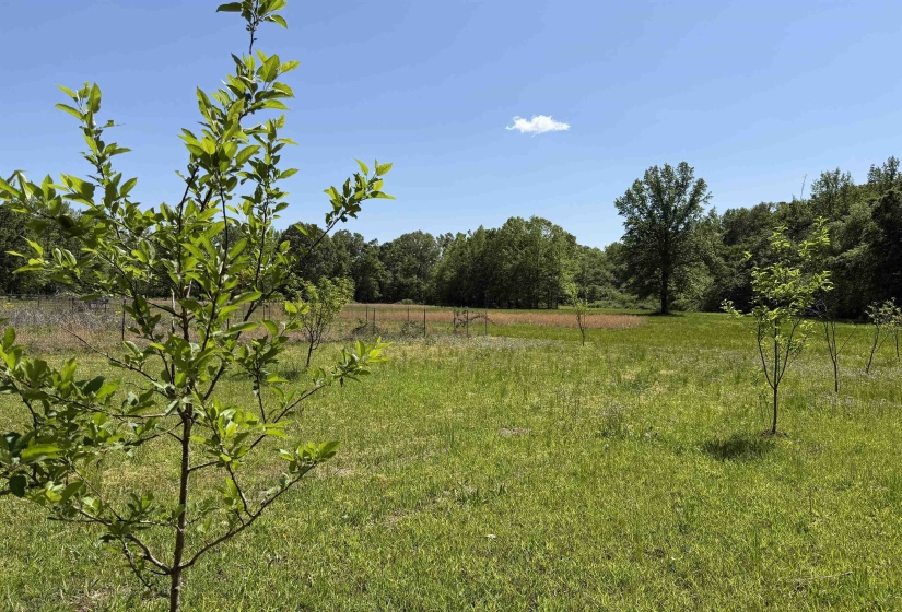 710 HARLON IRON RD, Adamsville, Tennessee 38310, 4 Bedrooms Bedrooms, 12 Rooms Rooms,2 BathroomsBathrooms,Residential,For Sale,HARLON IRON,10219787