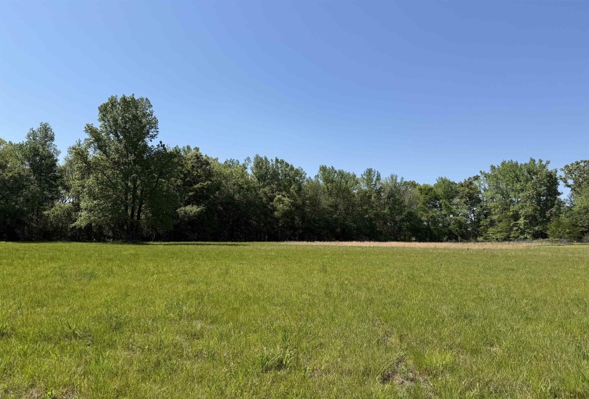 710 HARLON IRON RD, Adamsville, Tennessee 38310, 4 Bedrooms Bedrooms, 12 Rooms Rooms,2 BathroomsBathrooms,Residential,For Sale,HARLON IRON,10219787