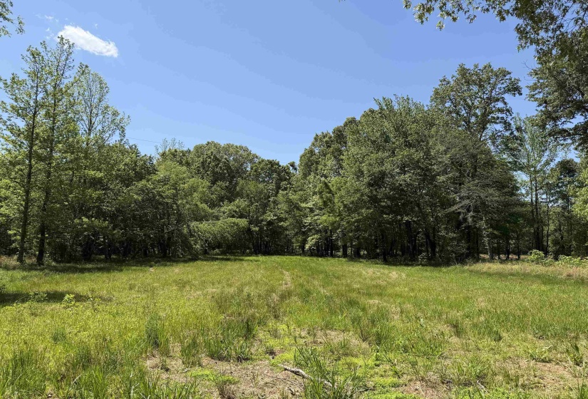 710 HARLON IRON RD, Adamsville, Tennessee 38310, 4 Bedrooms Bedrooms, 12 Rooms Rooms,2 BathroomsBathrooms,Residential,For Sale,HARLON IRON,10219787