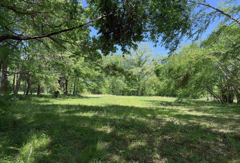 View of yard featuring a wooded view