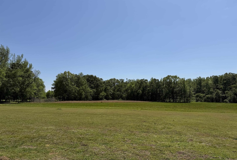 710 HARLON IRON RD, Adamsville, Tennessee 38310, 4 Bedrooms Bedrooms, 12 Rooms Rooms,2 BathroomsBathrooms,Residential,For Sale,HARLON IRON,10219787